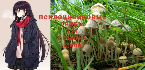 гидропоника Армянск