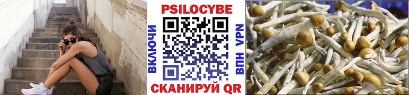 Галлюциногенные грибы Cubensis  где можно купить наркотик  Арсеньев 